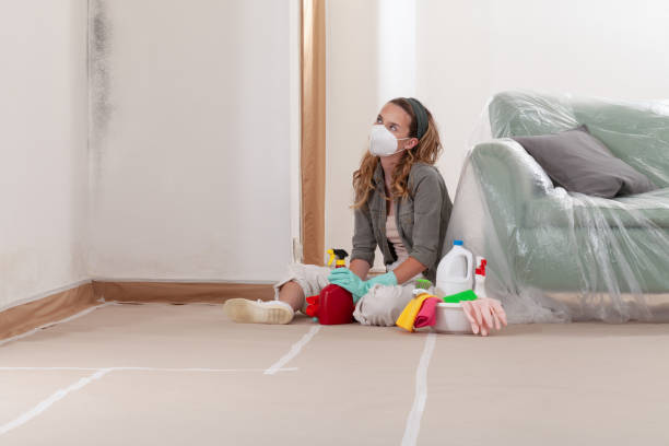 Reliable Mold Remediation contractor in Port Monmouth, NJ by Mold Remediation HQ